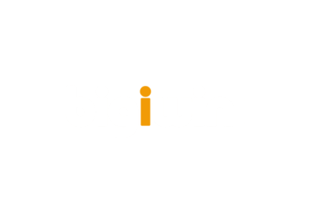 bigiwin1.com